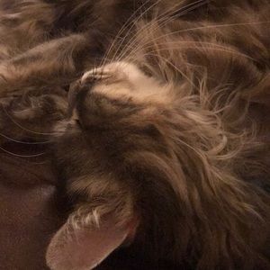 Meet your Posher, Brenda